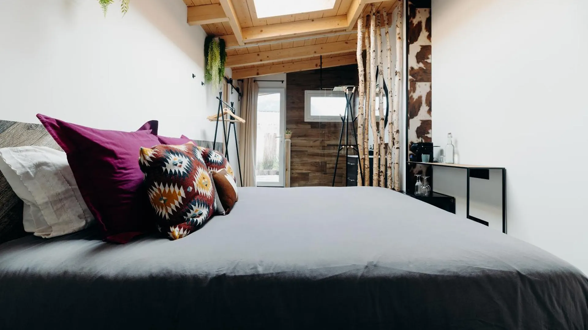 La Villa D'Helene 2 - Chambres D'Hotes Bnb Et Appartements - Cluses France