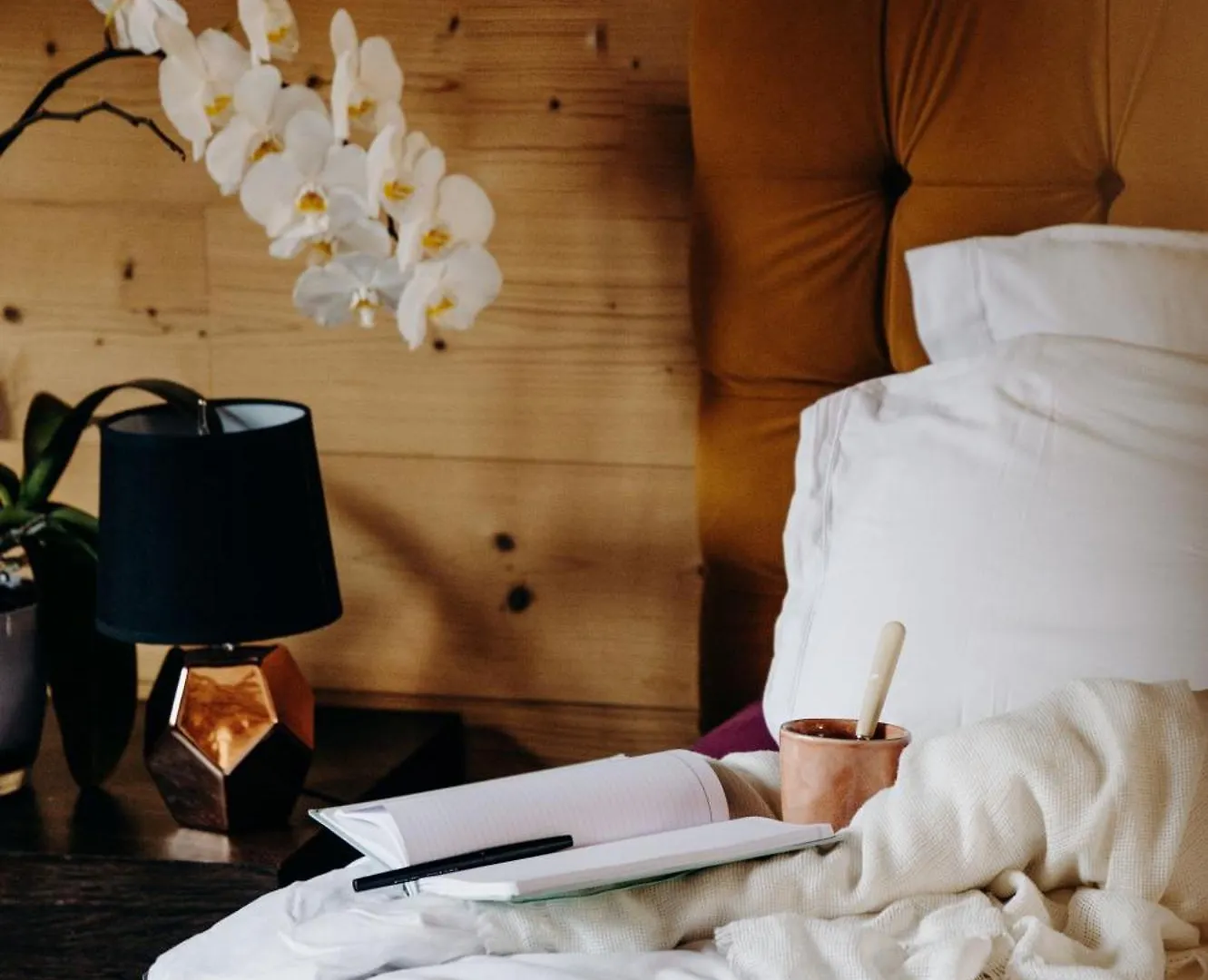 La Villa D'Helene 2 - Chambres D'Hotes Bnb Et Appartements - Cluses